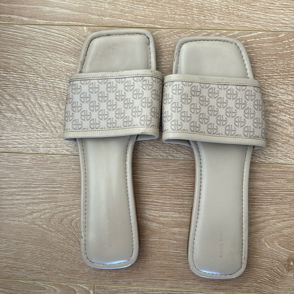 Anine Bing Slides